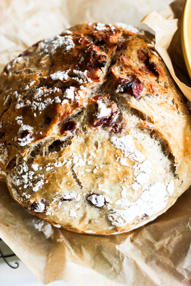 The best no-knead bread studded with sweet cranberries and fragrant rosemary. This one is sure to be dubbed THE bread in your household, too!