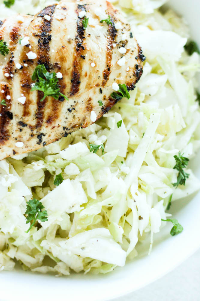 Easy Cabbage Slaw with Chicken 