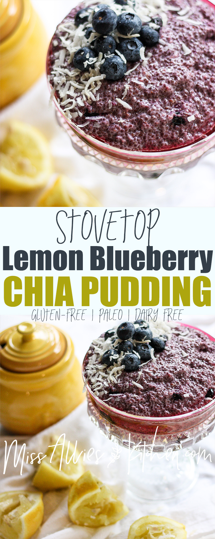 Paleo Lemon Blueberry Chia Pudding