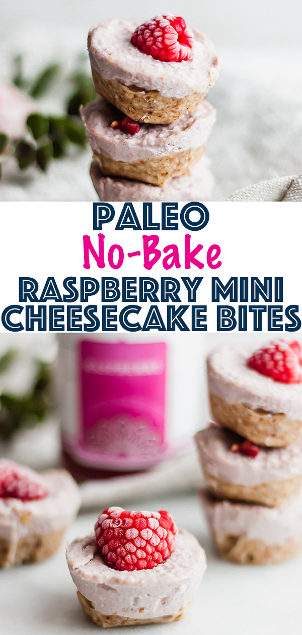 Paleo No-Bake Raspberry Mini Cheesecake Bites