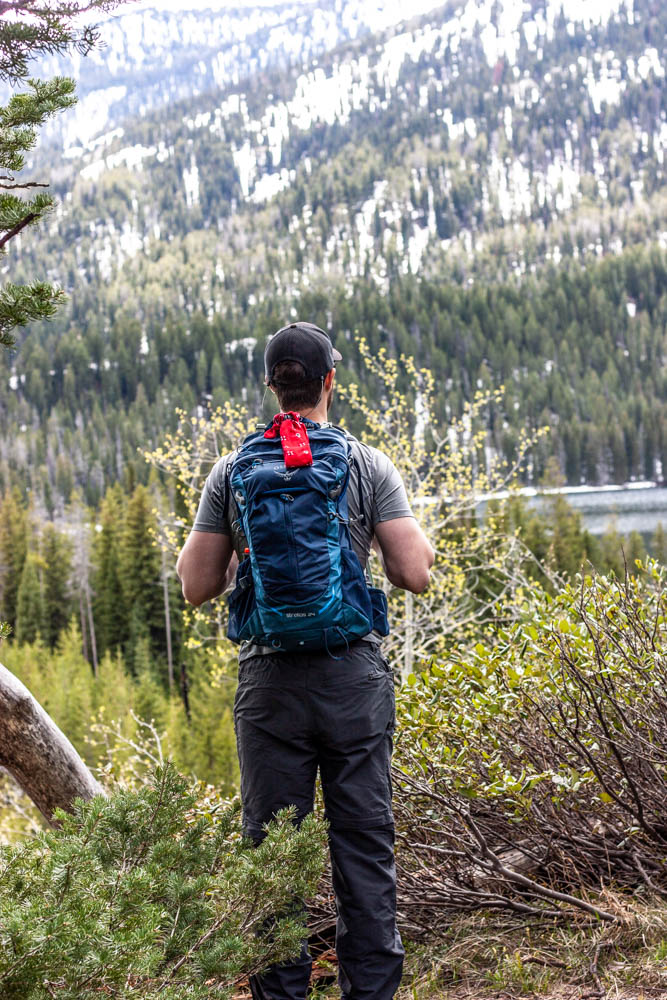 Everything You Need in Your Hiking Daypack - Miss Allie's Kitchen