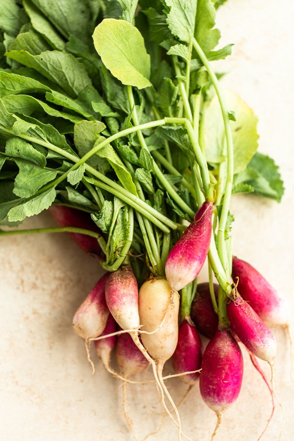 Today we are back and I am using carrot and radish tops to make pesto., radish recipe