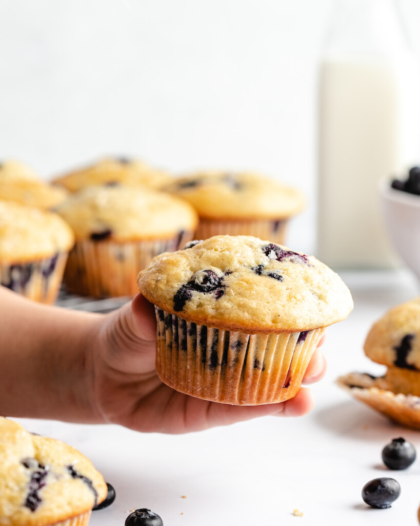 holding out a Greek yogurt blueberry muffin . white background