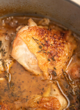 braised chicken thighs in a shallot, apricot and wine sauce