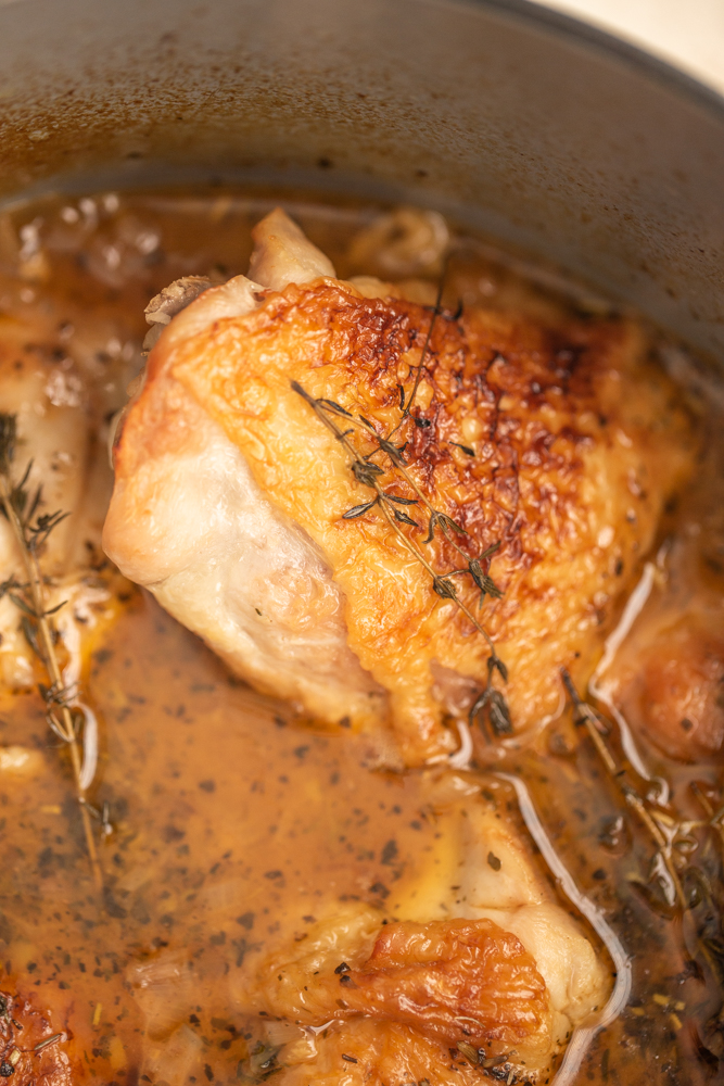 braised chicken thighs in a shallot, apricot and wine sauce