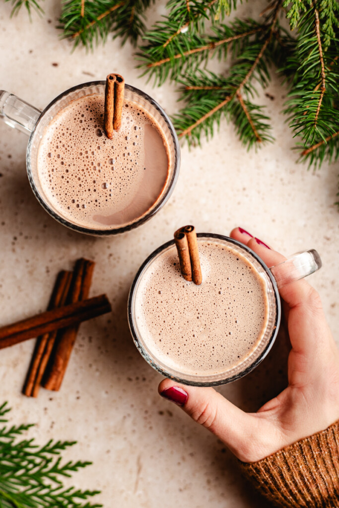 A hand hold a mug of hot chocolate topped with a cinnamon stick, surrounded by green pines